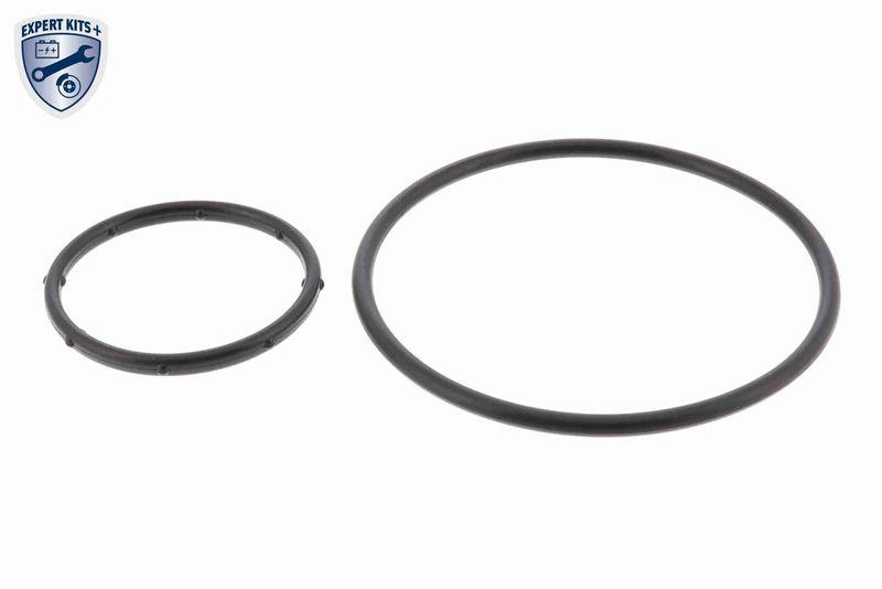 ACKOJA A52-0704 Wasserpumpe, Motork&uuml;hlung f&uuml;r HYundAI