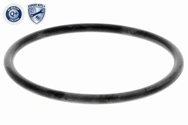 ACKOJA A52-0709 Wasserpumpe, Motork&uuml;hlung f&uuml;r HYundAI
