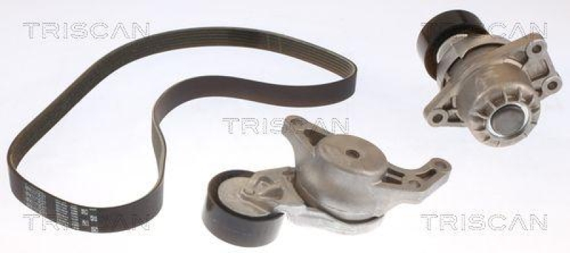 TRISCAN 8642 10038 Keilrippenriemensatz