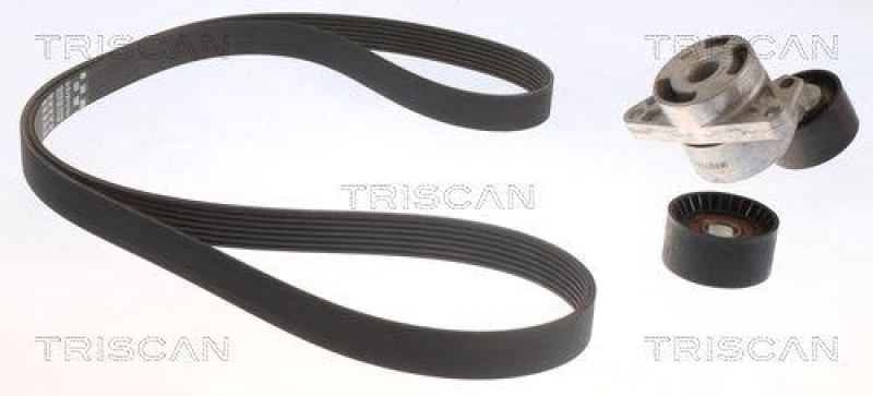 TRISCAN 8642 10042 Keilrippenriemensatz