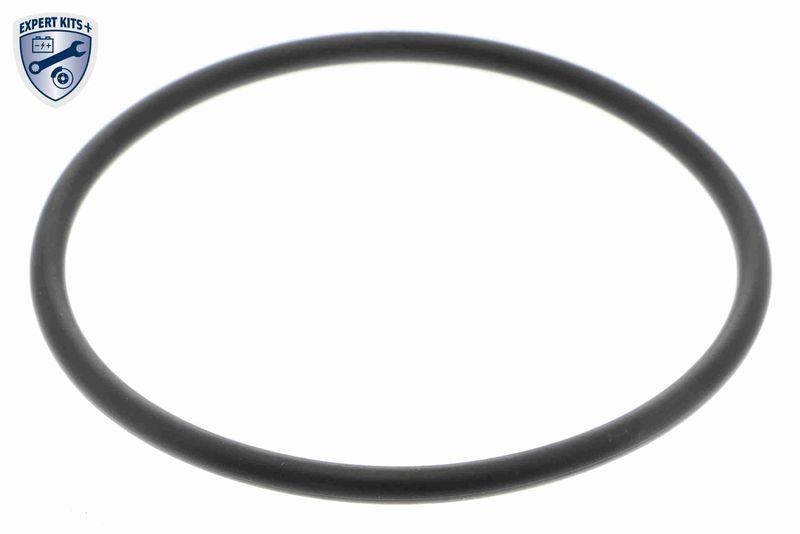 VAICO V10-4722 Hydraulikfilter, Automatikgetriebe 7-Gang DSG® (DQ381, DQ500) für VW