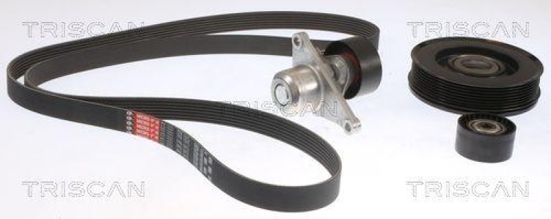TRISCAN 8642 10049 Keilrippenriemensatz