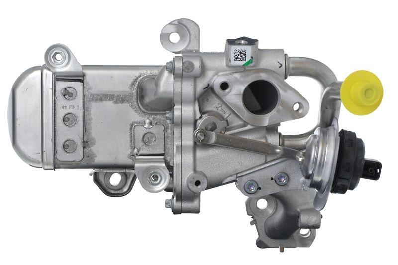 VALEO 700489 AGR Module Renault