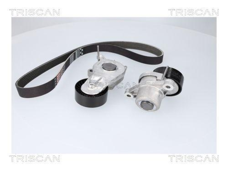 TRISCAN 8642 10053 Keilrippenriemensatz