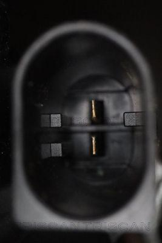 TRISCAN 8175 11242 Triscan Bremssattel f&uuml;r Bmw