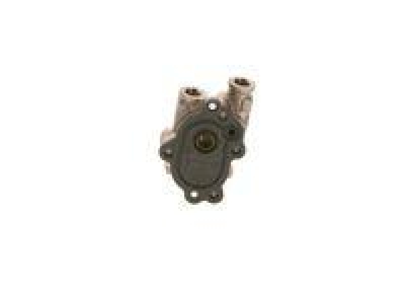 Bosch 0 440 020 111 Zahnradpumpe