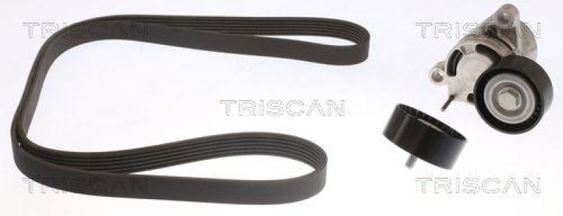 TRISCAN 8642 11002 Keilrippenriemensatz