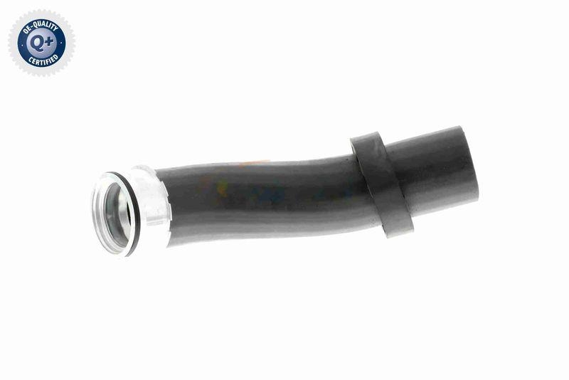 VAICO V20-1619 Ladeluftschlauch f&uuml;r BMW