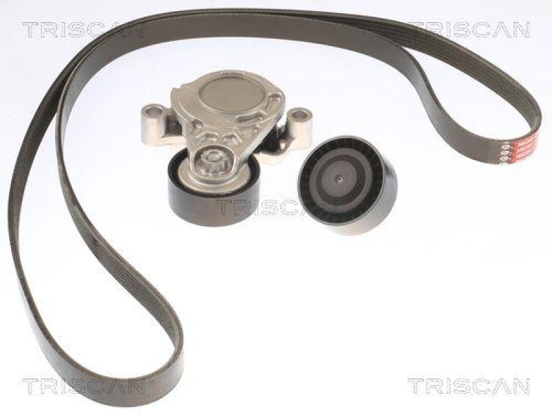 TRISCAN 8642 11004 Keilrippenriemensatz