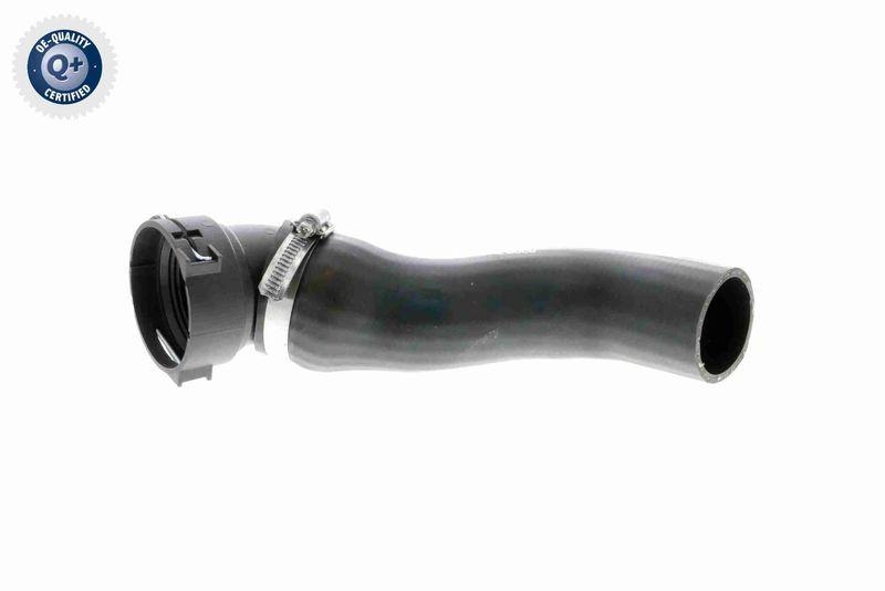 VAICO V20-1620 Ladeluftschlauch für BMW