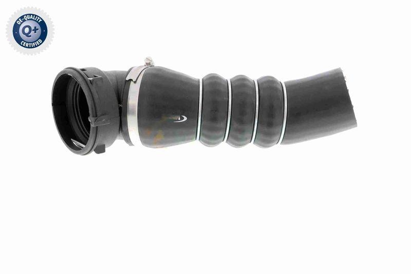 VAICO V20-1626 Ladeluftschlauch für BMW