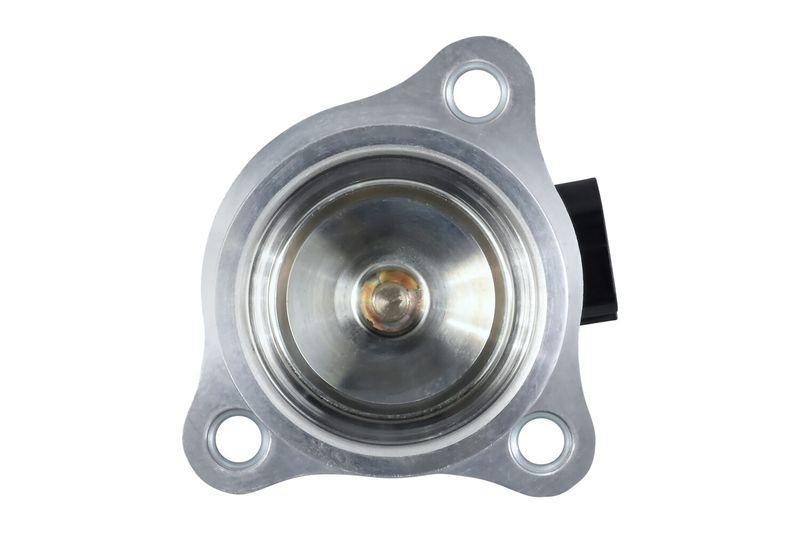 HELLA 6NU 010 171-551 AGR-Ventil, elektronisch f&uuml;r RENAULT/OPEL