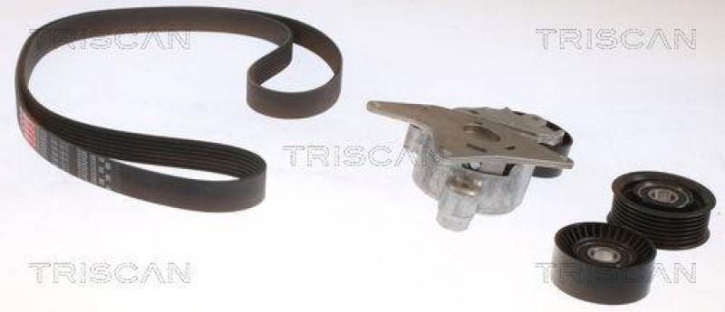TRISCAN 8642 13006 Keilrippenriemensatz