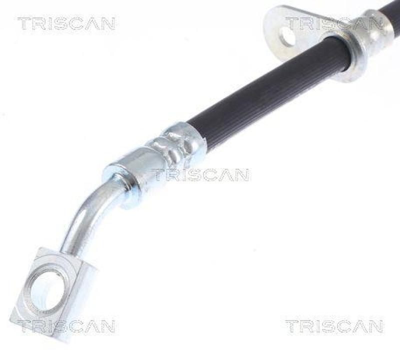 TRISCAN 8150 162007 Bremsschlauch Hinten f&uuml;r Ford