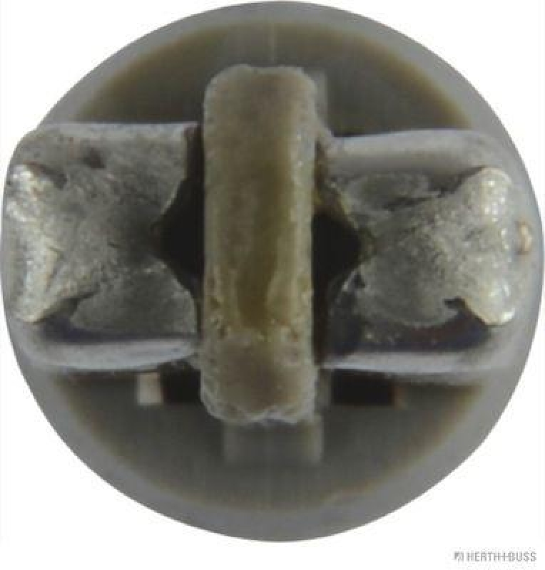 HERTH+BUSS 89901230 Glühlampe, Instrumentenbeleuchtung 12 V, 0,5 W, KW2x4,6d