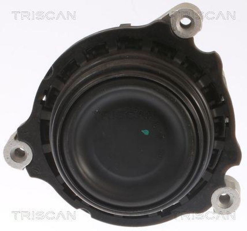 TRISCAN 8505 11109 Motoraufh&auml;ngung f&uuml;r Bmw