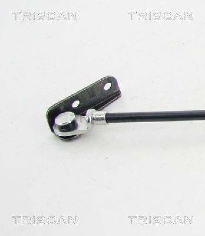 TRISCAN 8710 69202 Gasfeder Hinten f&uuml;r Suzuki Swift Ii