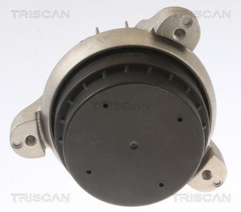 TRISCAN 8505 11117 Motoraufh&auml;ngung f&uuml;r Bmw