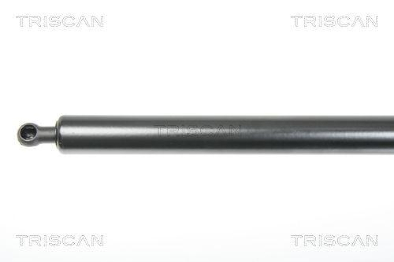 TRISCAN 8710 25240 Gasfeder Hinten f&uuml;r Renault Modus