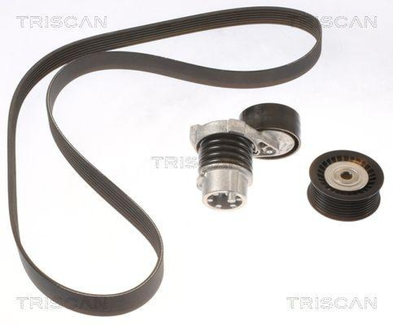 TRISCAN 8642 25012 Keilrippenriemensatz