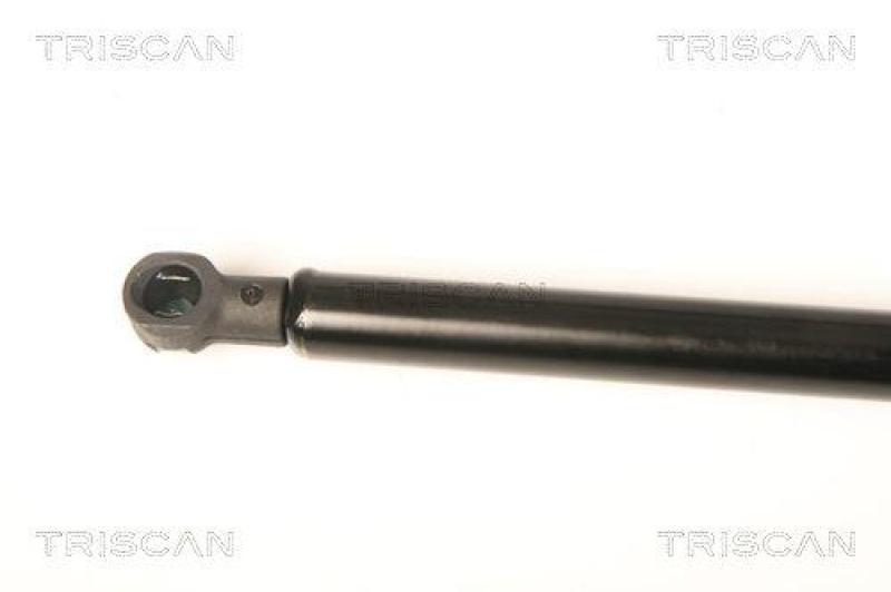 TRISCAN 8710 25253 Gasfeder Hinten Fenster für Laguna Grandtour Ii Window