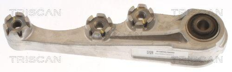 TRISCAN 8505 15113 Motoraufh&auml;ngung f&uuml;r Fiat Ducato