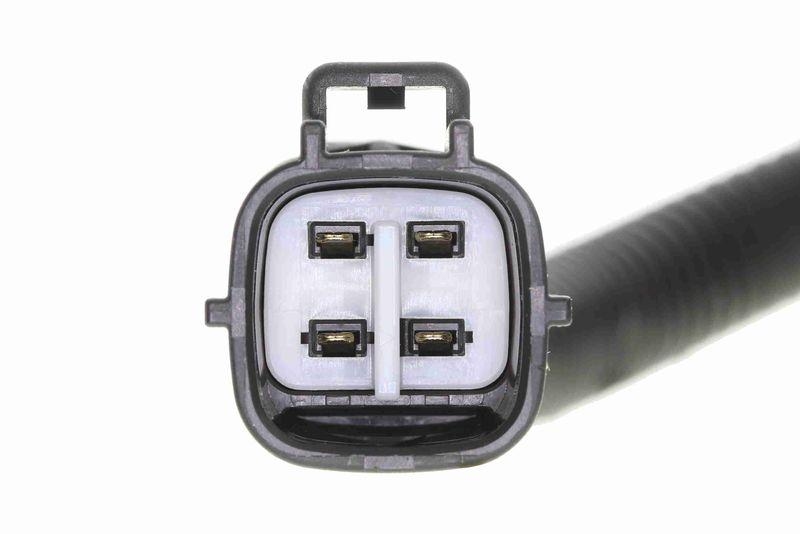 ACKOJA A70-0018 Sto&szlig;d&auml;mpfer Hinterachse f&uuml;r TOYOTA