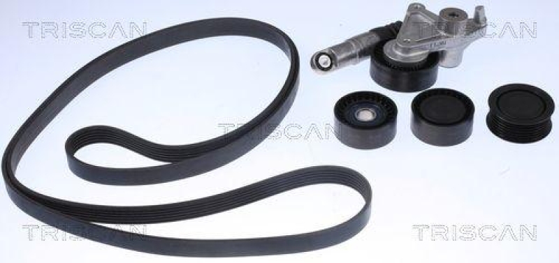 TRISCAN 8642 29019 Keilrippenriemensatz f&uuml;r Audi