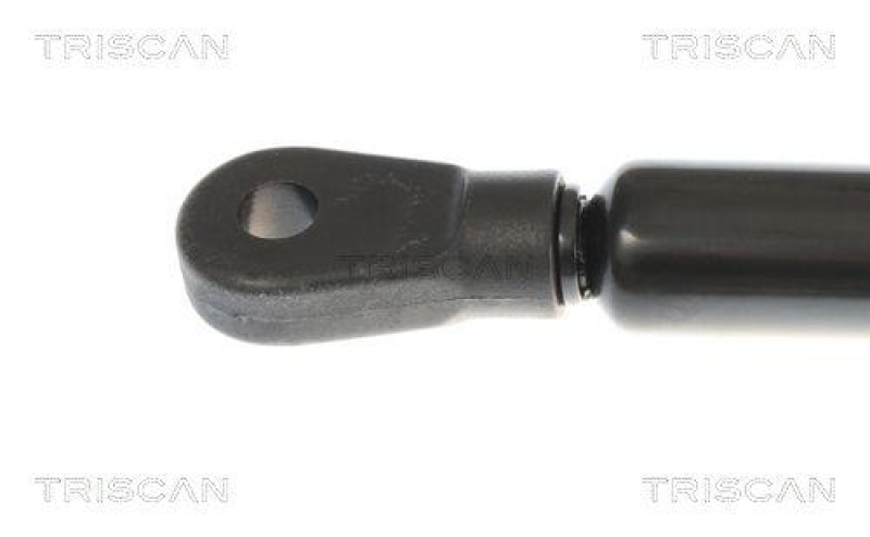 TRISCAN 8710 29105 Gasfeder Vorne für Audi A4, A4 Avant