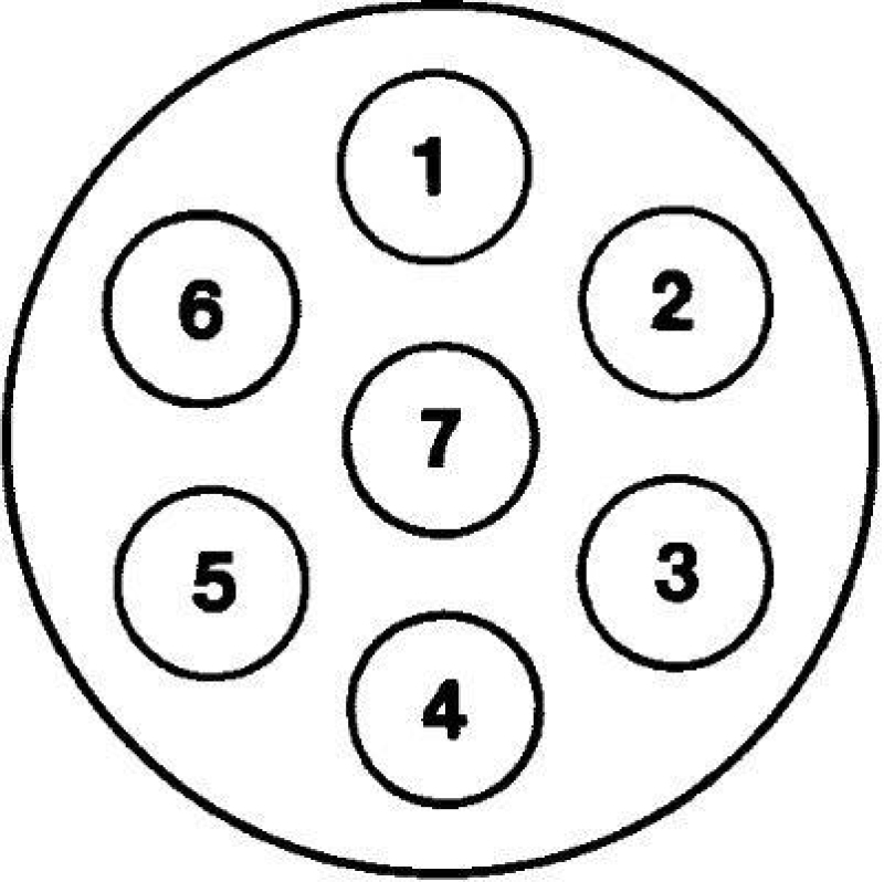 HELLA 8JB 008 085-011 Steckdose, 7 polig Schraubkontakt