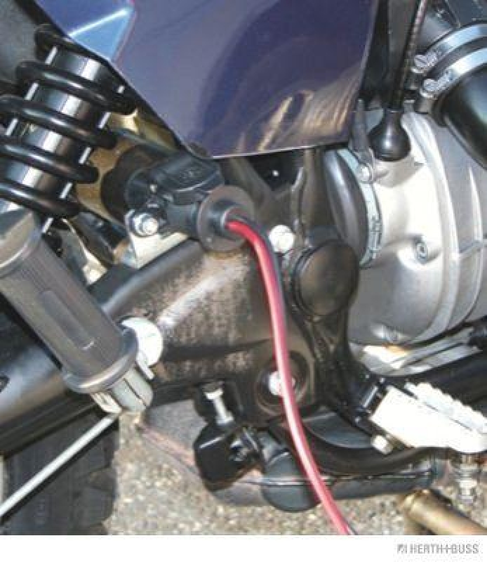 HERTH+BUSS 51305635 Stecker 3-polig, 6 - 24 V