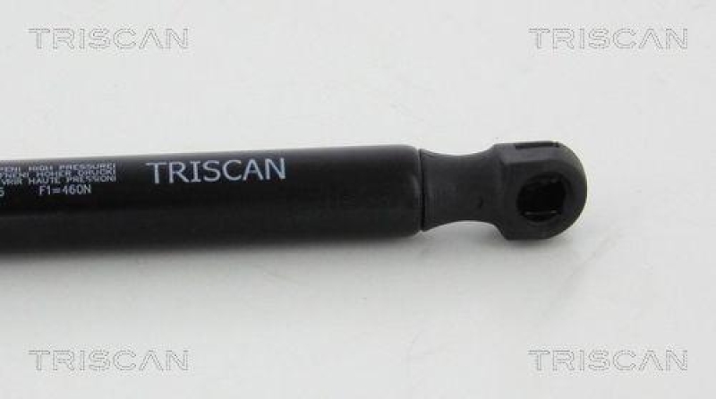 TRISCAN 8710 10216 Gasfeder Hinten f&uuml;r Jaguar X-Type