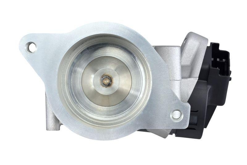 HELLA 6NU 010 171-671 AGR-Ventil