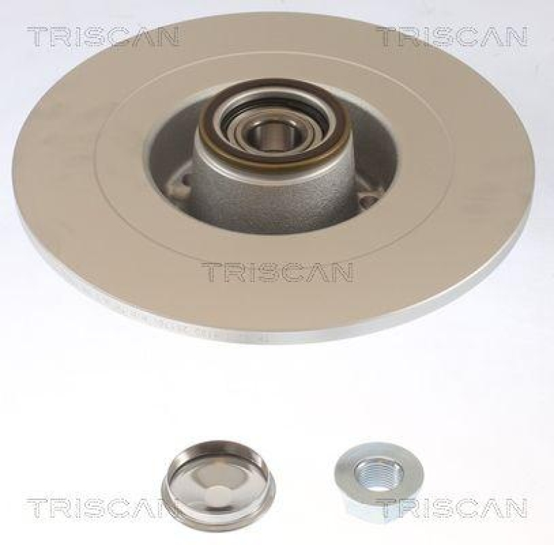 TRISCAN 8120 25170c Bremsscheibe Hinten, Coated f&uuml;r Renault