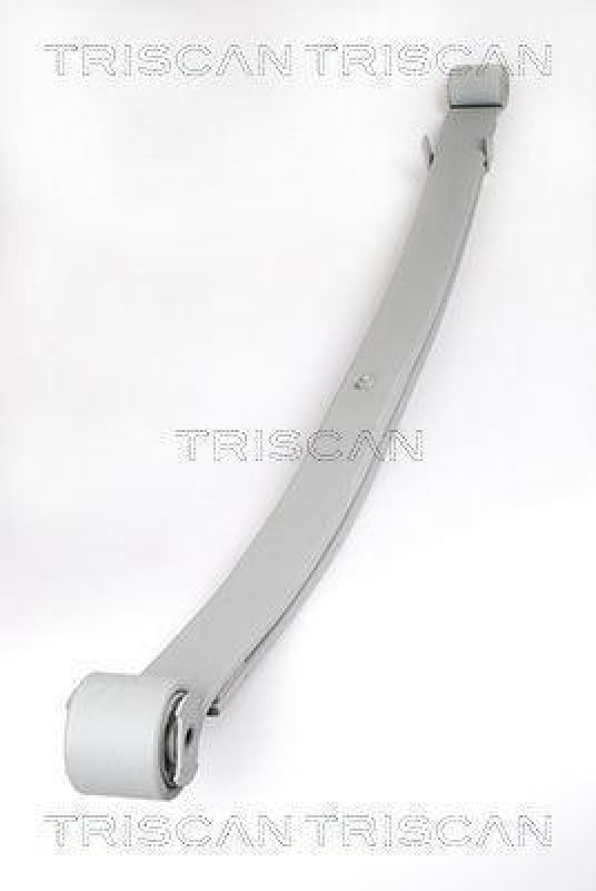TRISCAN 8765 10005 Blattfeder Hinten f&uuml;r Citroen, Fiat, Peug.