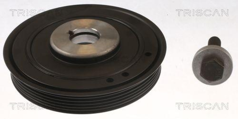 TRISCAN 8643 10001a Riemenscheibe für Fiat, Psa