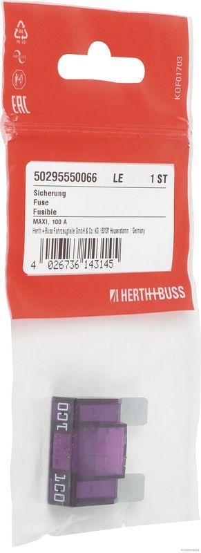 HERTH+BUSS 50295550066 Sicherung MAXI, 100 A