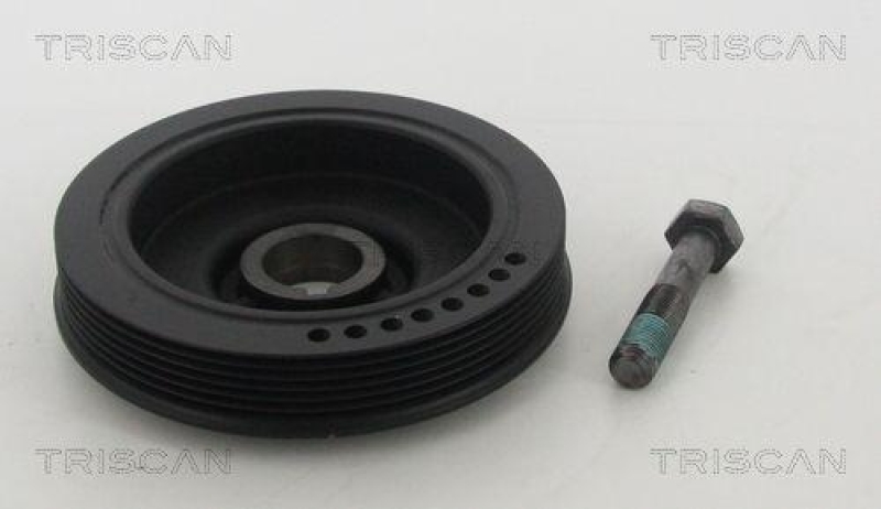 TRISCAN 8643 10003a Riemenscheibe für Fiat, Psa