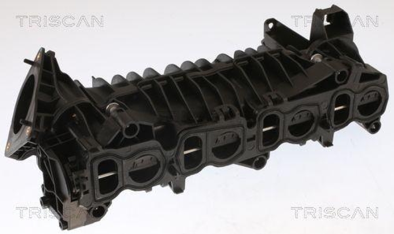 TRISCAN 8910 11101 Intake Manifold f&uuml;r Bmw