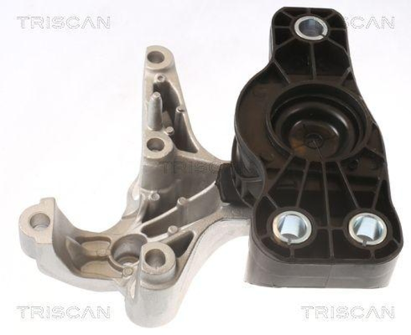 TRISCAN 8505 25121 Motoraufh&auml;ngung f&uuml;r Dacia, Renault