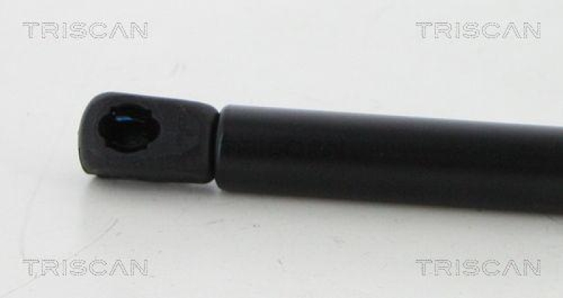TRISCAN 8710 292053 Gasfeder Hinten f&uuml;r Rapid Spaceback