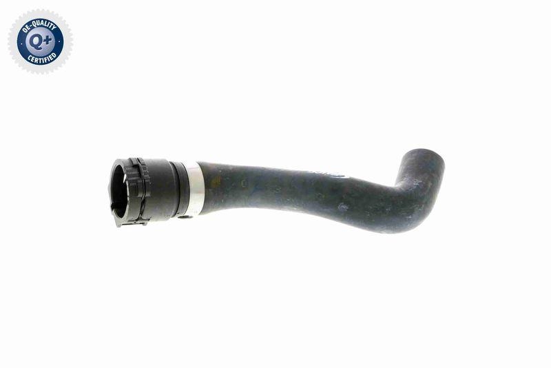 VAICO V20-1771 K&uuml;hlerschlauch f&uuml;r BMW