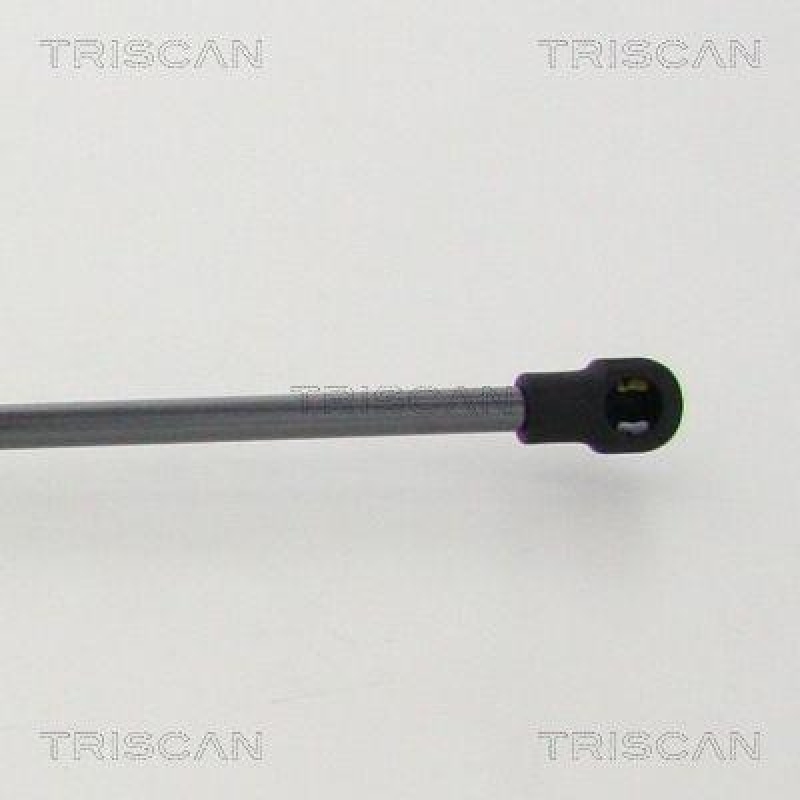 TRISCAN 8710 11244 Gasfeder Hinten f&uuml;r Bmw 6 Coupe