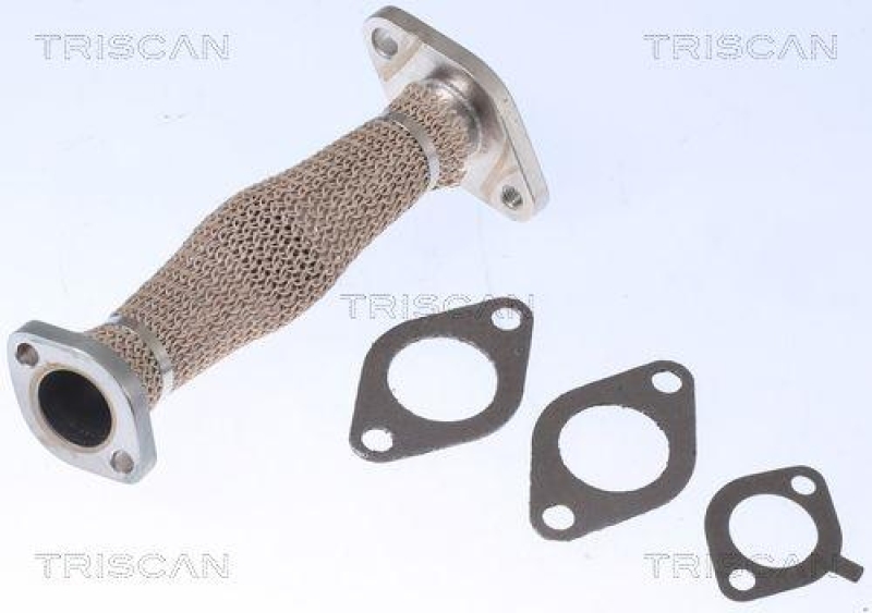 TRISCAN 8811 29103 Rohrleitung, Agr Ventil f&uuml;r Vag