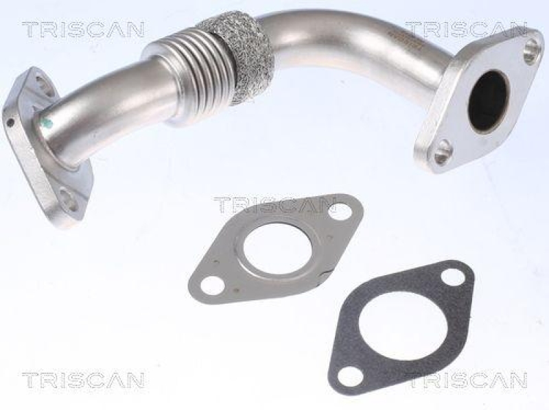 TRISCAN 8811 29106 Rohrleitung, Agr Ventil f&uuml;r Vag