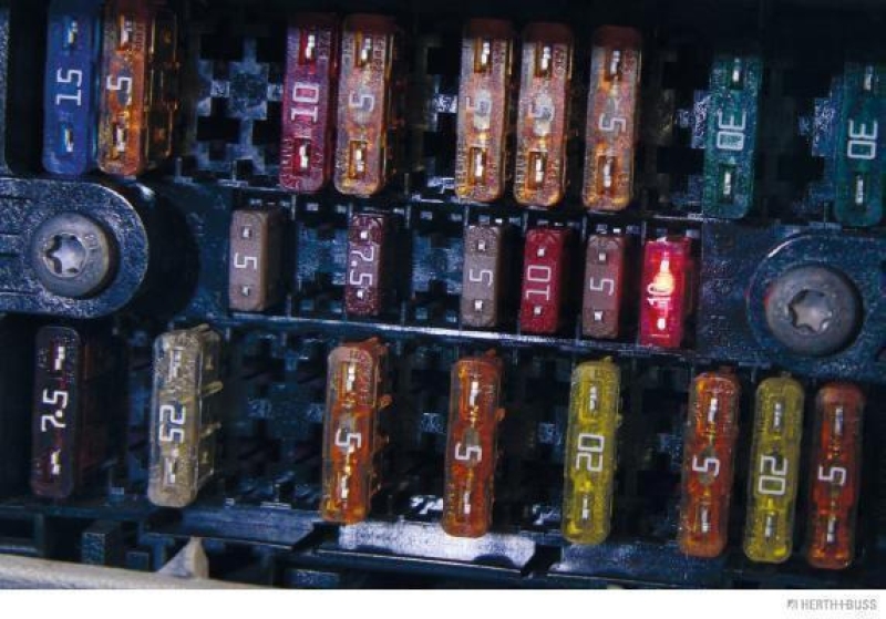 HERTH+BUSS 50295677066 Sicherung MINI Smart-Glow, 10 A, 10 pcs