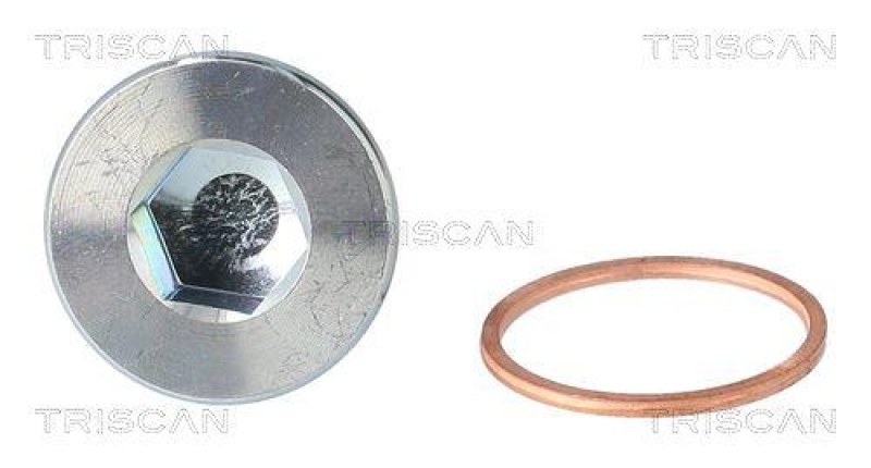 TRISCAN 9500 2301 &Ouml;lablassschraube f&uuml;r M26X1.5