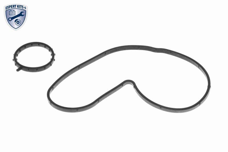 VAICO V20-4292 Wasserpumpe, Motork&uuml;hlung mit Dichtring f&uuml;r BMW