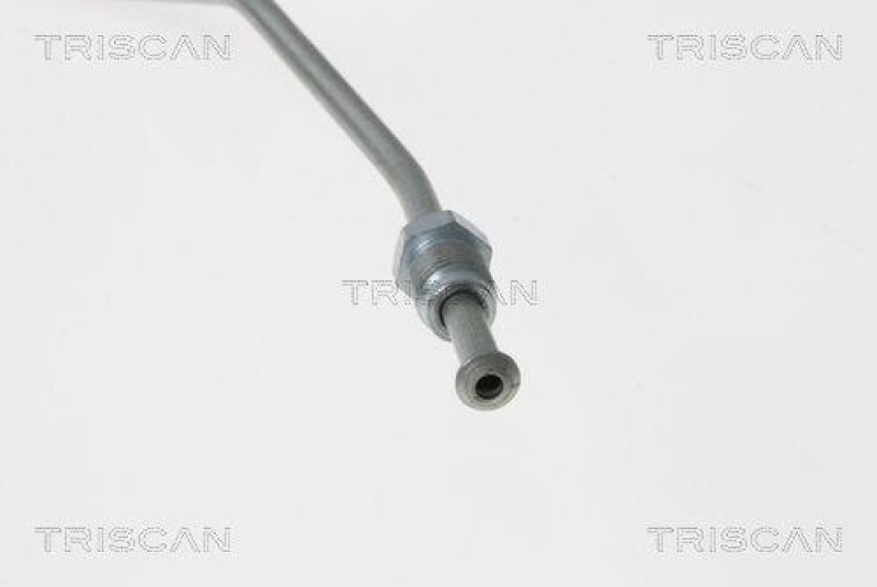 TRISCAN 8150 20101 Bremsschlauch f&uuml;r Porsche
