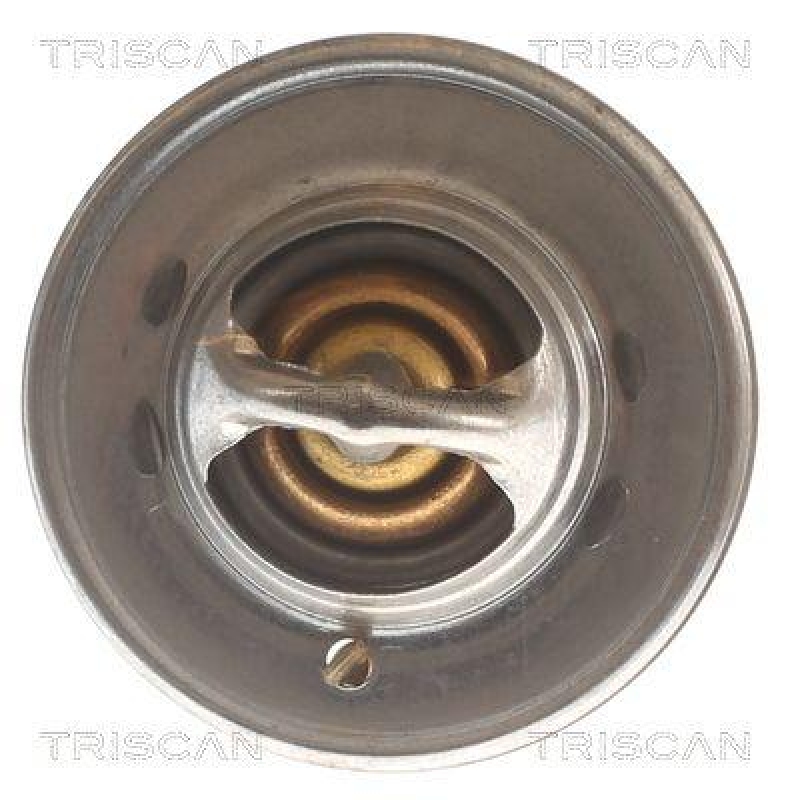 TRISCAN 8620 7888 Thermostat f&uuml;r Rover (1)